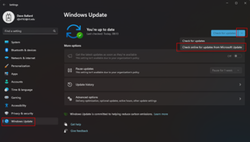 Windows update section of the settings with the check online for updates drop down selected