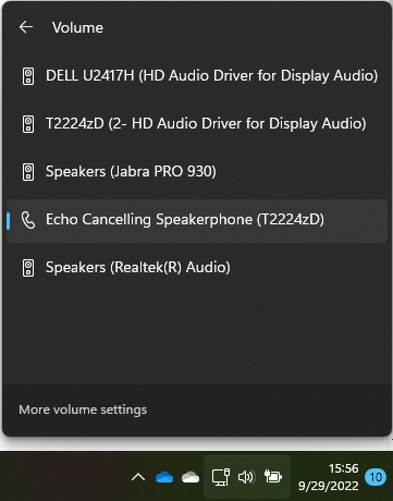 The options for other speakers with the correct one highlighted and selected