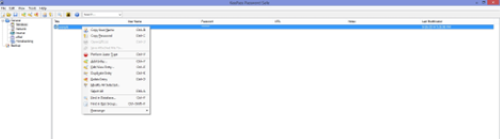 The menu when right clicking on a password with the option to copy the password