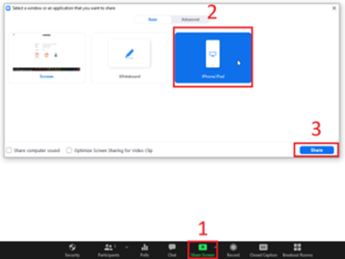 The zoom screen share with the button to share a phone/ipad highlighted in red